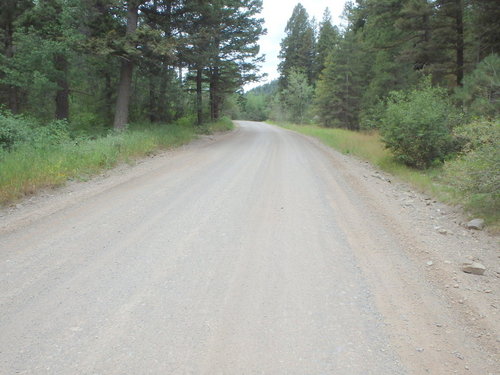 GDMBR: Southbound on Grizzly Gulch Road.
